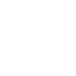Multilingual & Customized Country-Adapted Service